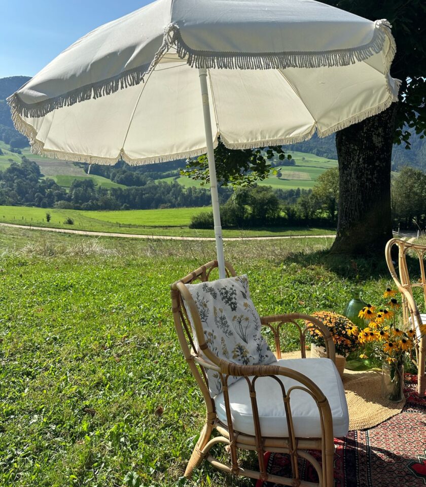 Priscilla – Image 2