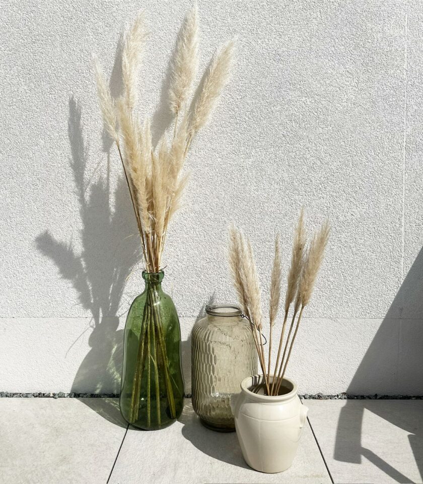 Marie-Jane – Image 2